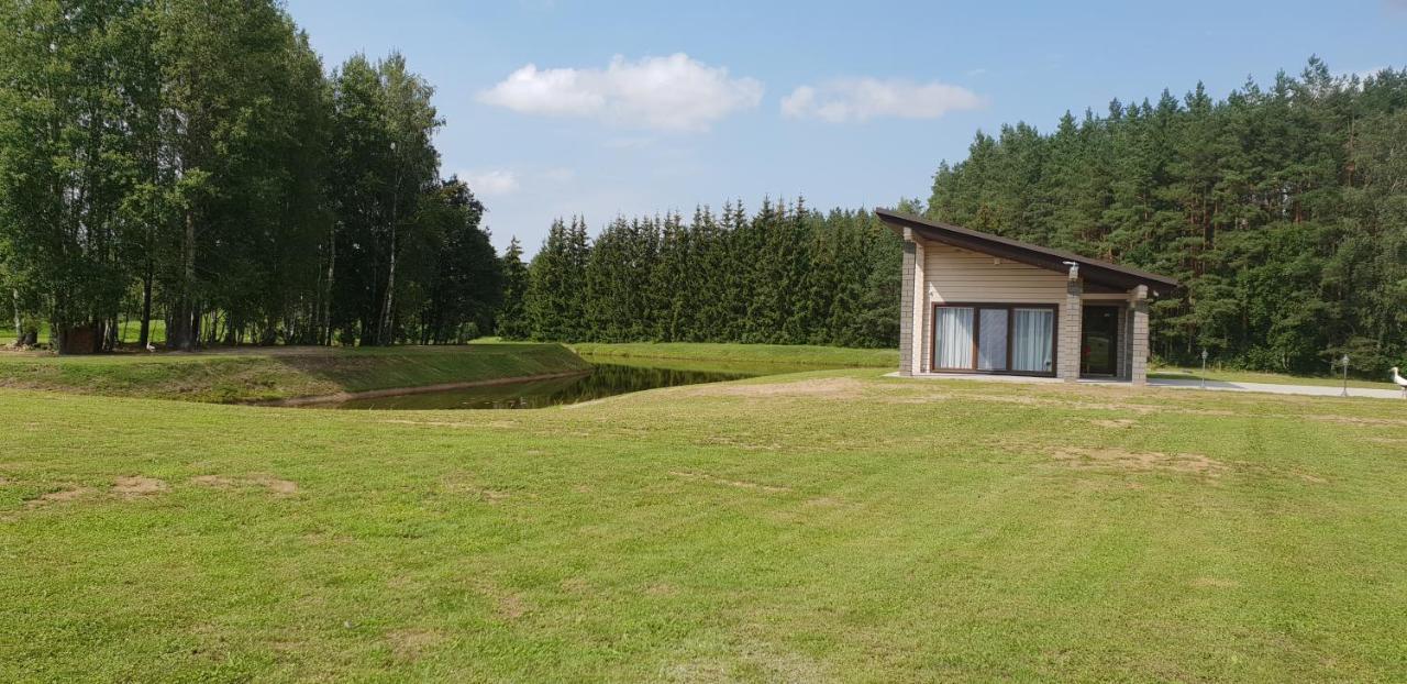 Lazariskio Apartamentai Martiniskenai Exterior foto